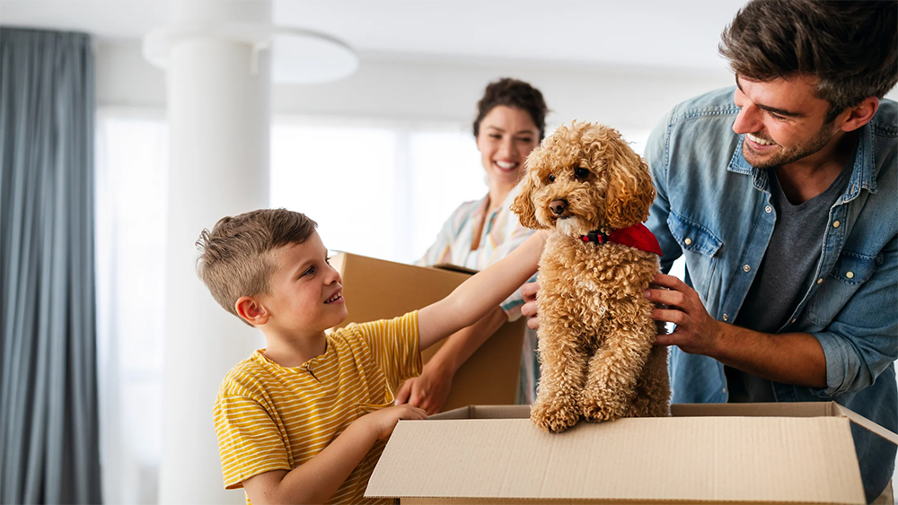 Moving with Pets: A Complete Guide